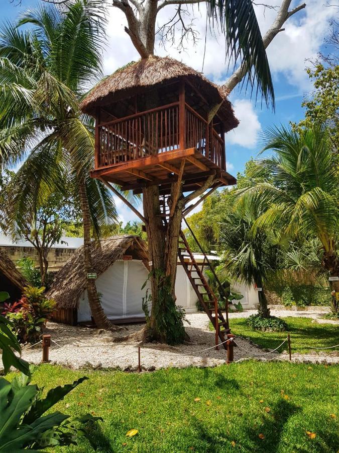 El Buho Bacalar Eco-Cabanas Hostal Exterior photo