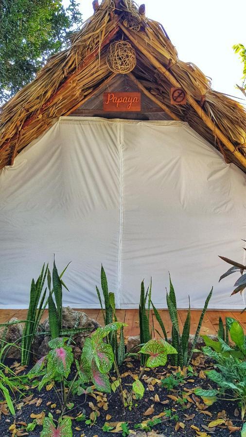 El Buho Bacalar Eco-Cabanas Hostal Exterior photo